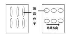 图三  液晶分子的工作原理.jpg