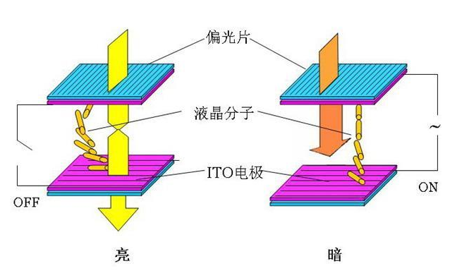 液晶光学效果.png