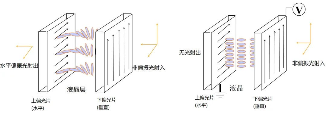 TN模式LCD显示原理.jpg