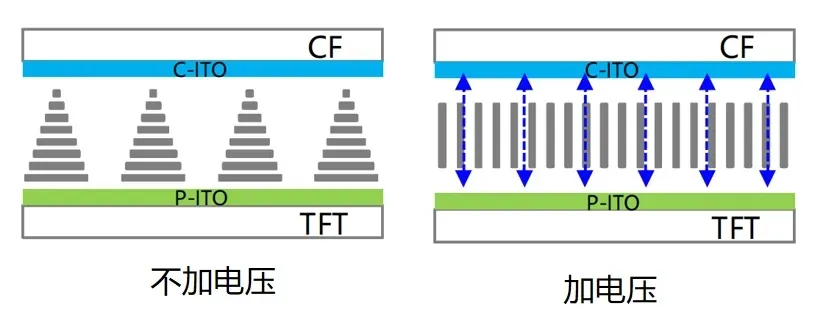 TN模式LCD电场方向.jpg